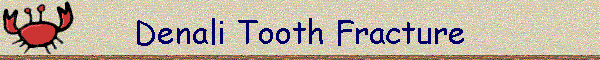 Denali Tooth Fracture
